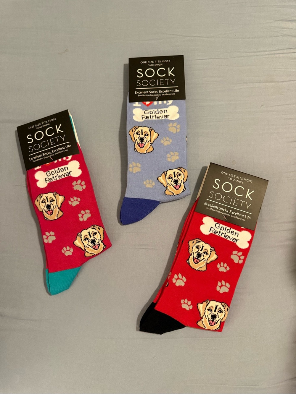 Sock Society Golden Retriever Novelty Socks - Red & Lavender
